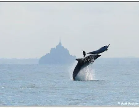 Baie Mt St Michel , , Caprice Rdc , 50 M ,7 Pers , Pres Dday *